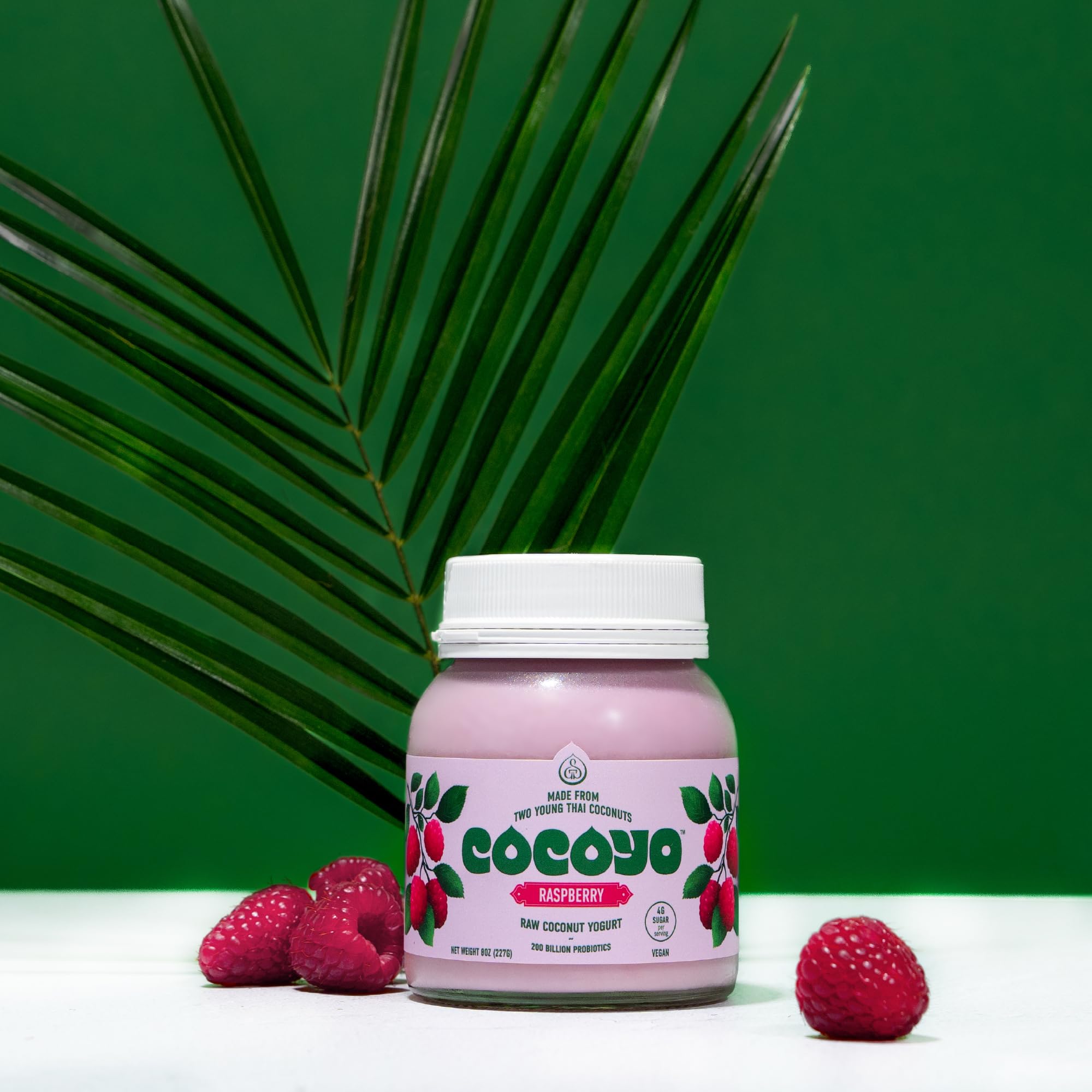 オリエント工業 Berry COCO Amazon.com: COCOYO Living Coconut Yogurt - 8 oz - Raspberry